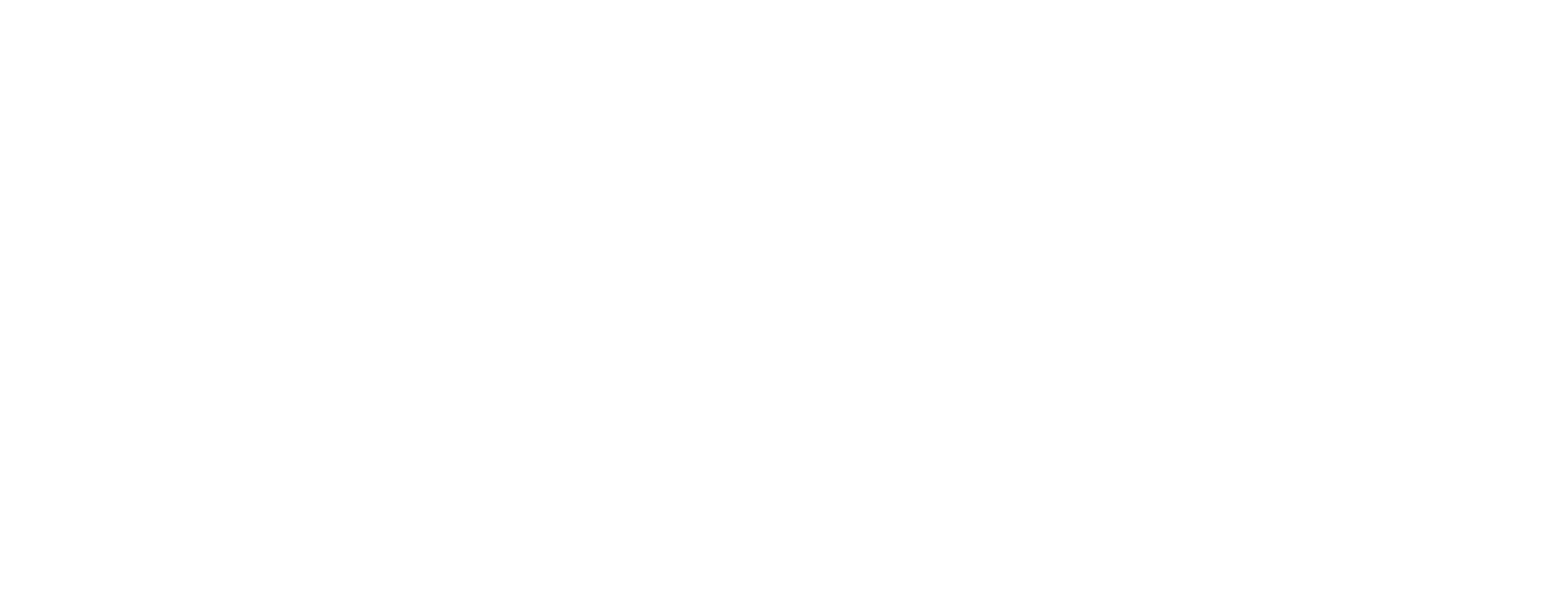 Startup Booster for Social Impact